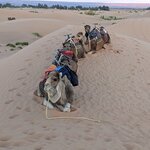 Photo taken by Cynthia D