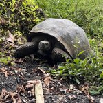 Photo taken by Ben S