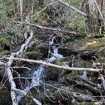 Photo taken by Mary Ellen J