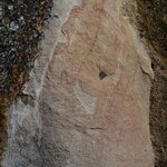 Photo taken by Raj M