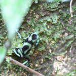 Photo taken by Graeme W