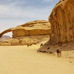 Wadi Rum | Photo taken by Cheryl M