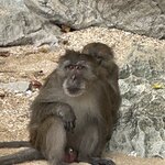 Photo taken by Fuad A