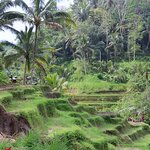 Photo taken by Laurence S