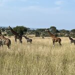 Photo taken by Michael L