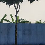 Photo taken by Sevi Y