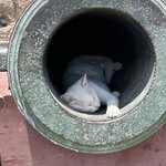 Photo taken by Paula H