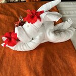 Photo taken by Anna L