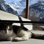 Photo taken by Anthony D