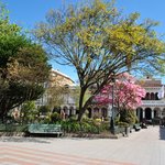 Photo taken by Natascia V