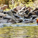 Photo taken by Graeme W