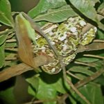 Photo taken by Lisa R