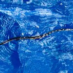 Photo taken by KLAUS A