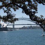 Photo taken by Linnaea M