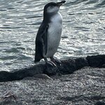 Photo taken by Mark A