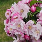 Photo taken by Mark C