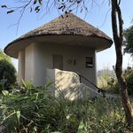 Photo taken by Kathy O