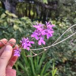 Photo taken by Victoria E