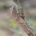 Photo taken by Mary D