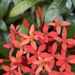 Photo taken by Carrie N