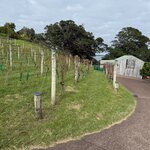 Photo taken by Mary B