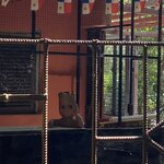 Photo taken by Sharon N