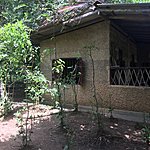 Cinnamon farming demo. Fascinating watching the inner bark being stripped then rolled. Sweet to chew on fresh too 👍 | Photo taken by Vicky V