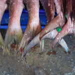 Photo taken by Steve B