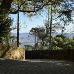 Photo taken by Lisa G