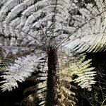 Photo taken by Linda F