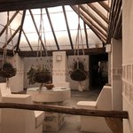 Photo taken by Denisse G