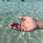 Photo taken by Bailey W