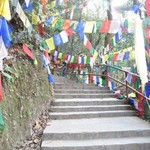 - | Photo taken by Karen W