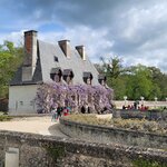 Photo taken by Audrey F