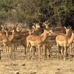 Photo taken by Paul B