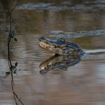 Photo taken by Matt W