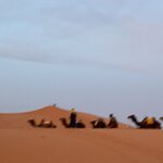 Photo taken by leigh b