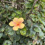 Photo taken by Catherine H