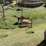 Photo taken by Amanda H