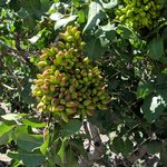 Photo taken by PADMABEN P