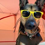 Photo taken by Debbie W