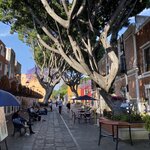 Photo taken by Martin S