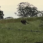 Photo taken by Rosemary S