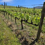 Photo taken by Jon C