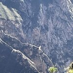 Photo taken by Alpa M