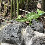 Photo taken by Patrice G