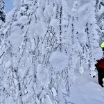 Photo taken by Raylene C