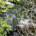 Photo taken by David L