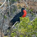 Photo taken by Lindsey F