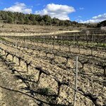 Photo taken by Alyssa K